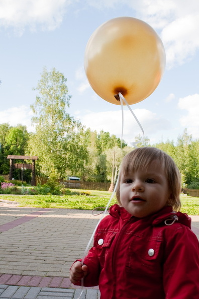 На свадьбе у Ромы и Лены